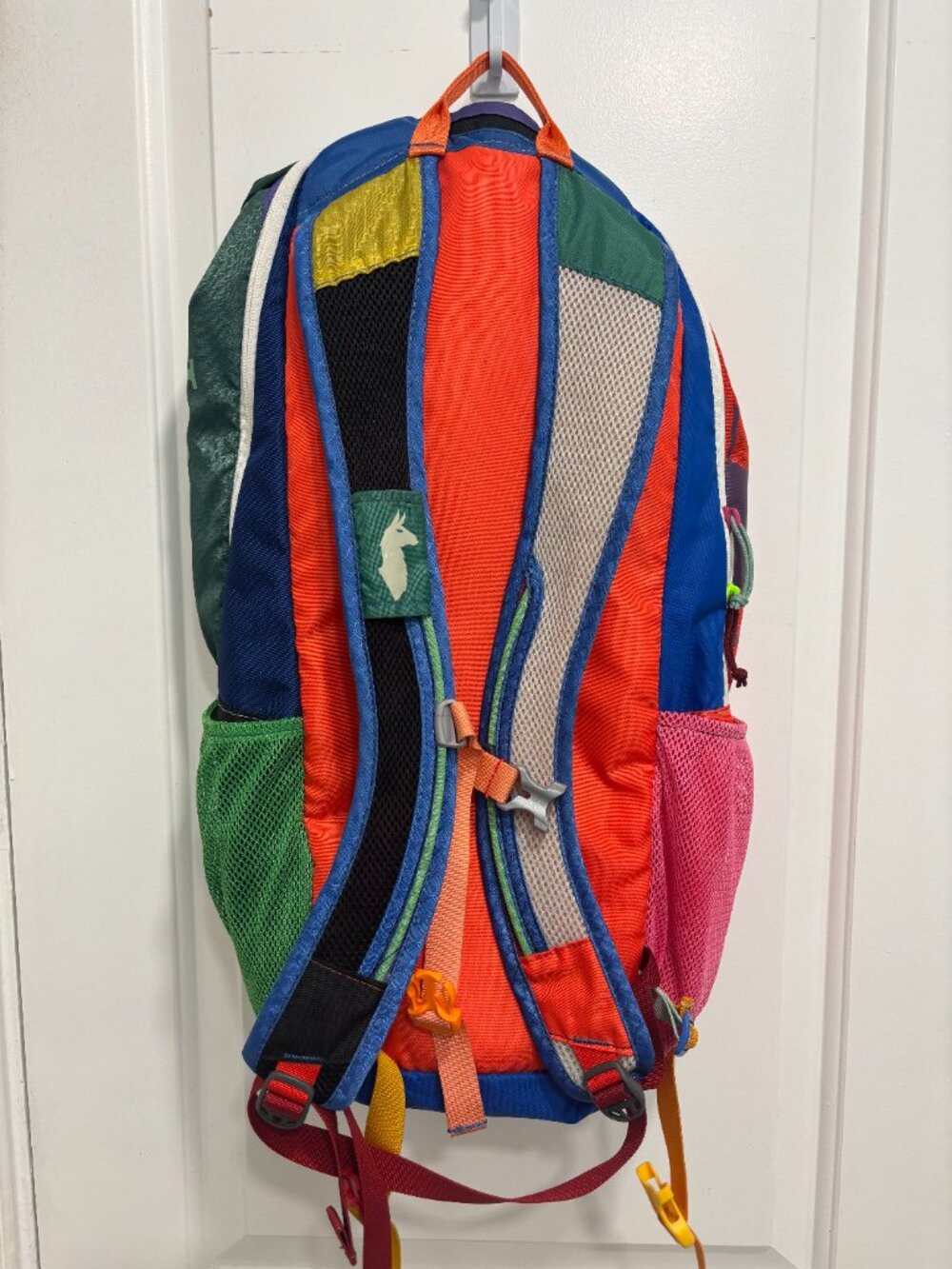 Cotopaxi Luzon Backpack, Del Dia - Picture 2 of 9